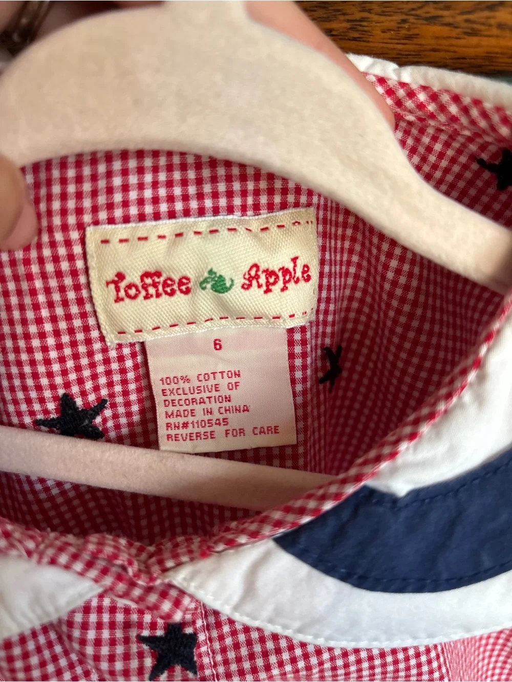 VTG Toffee Apple Gingham Dress
